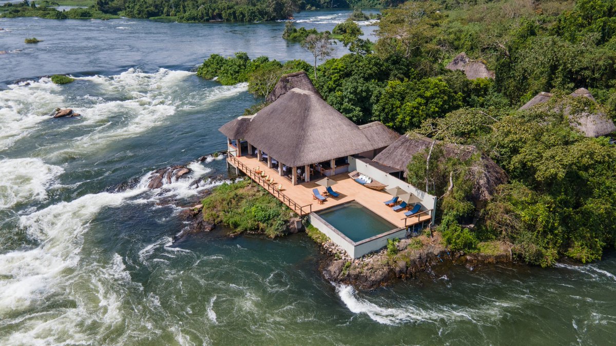 Bwindi Gorilla Trekking Safari Company tweet media