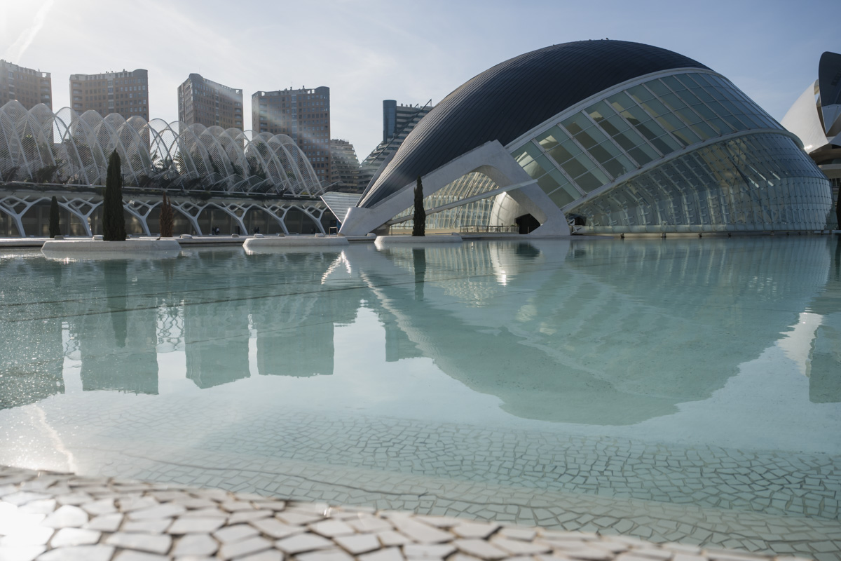 Ciudad Artes Ciencia tweet media