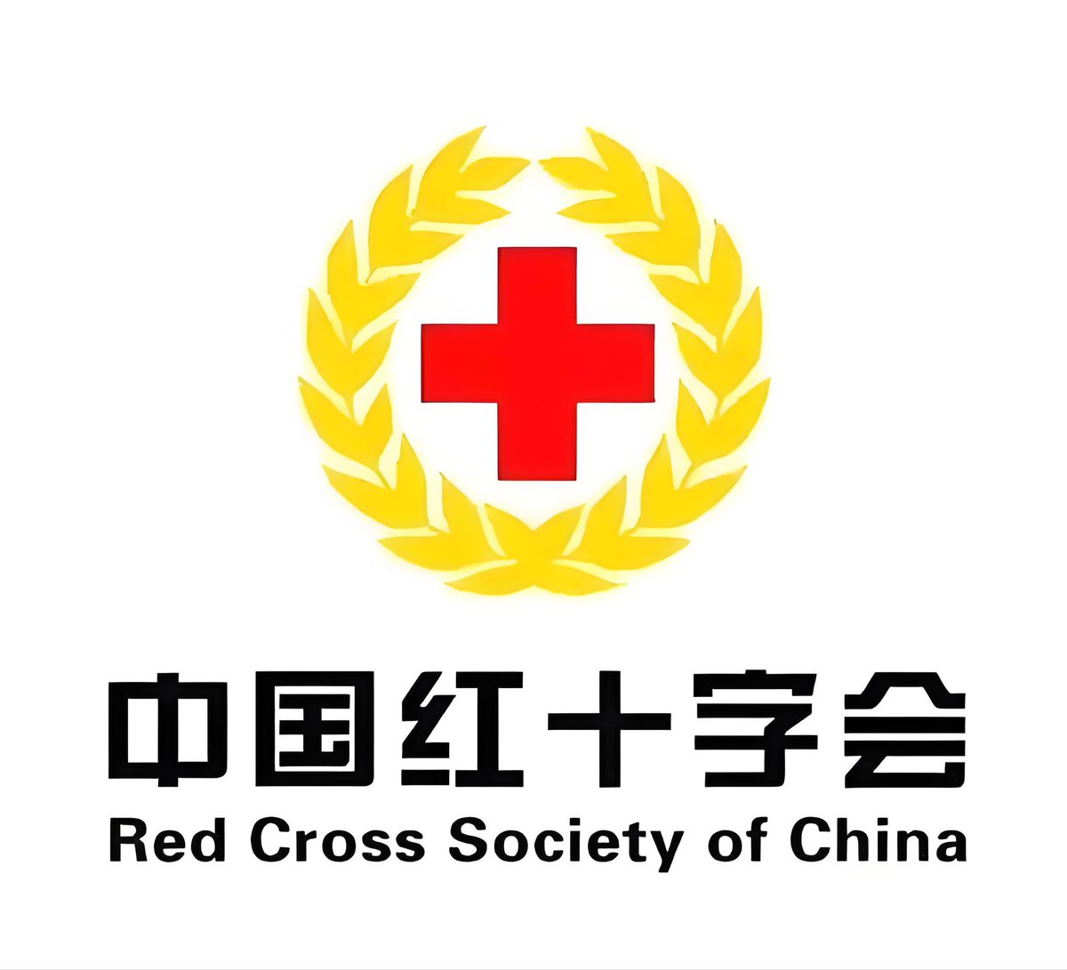 Simiao Lin🇨🇳🟩☫🟥 tweet media