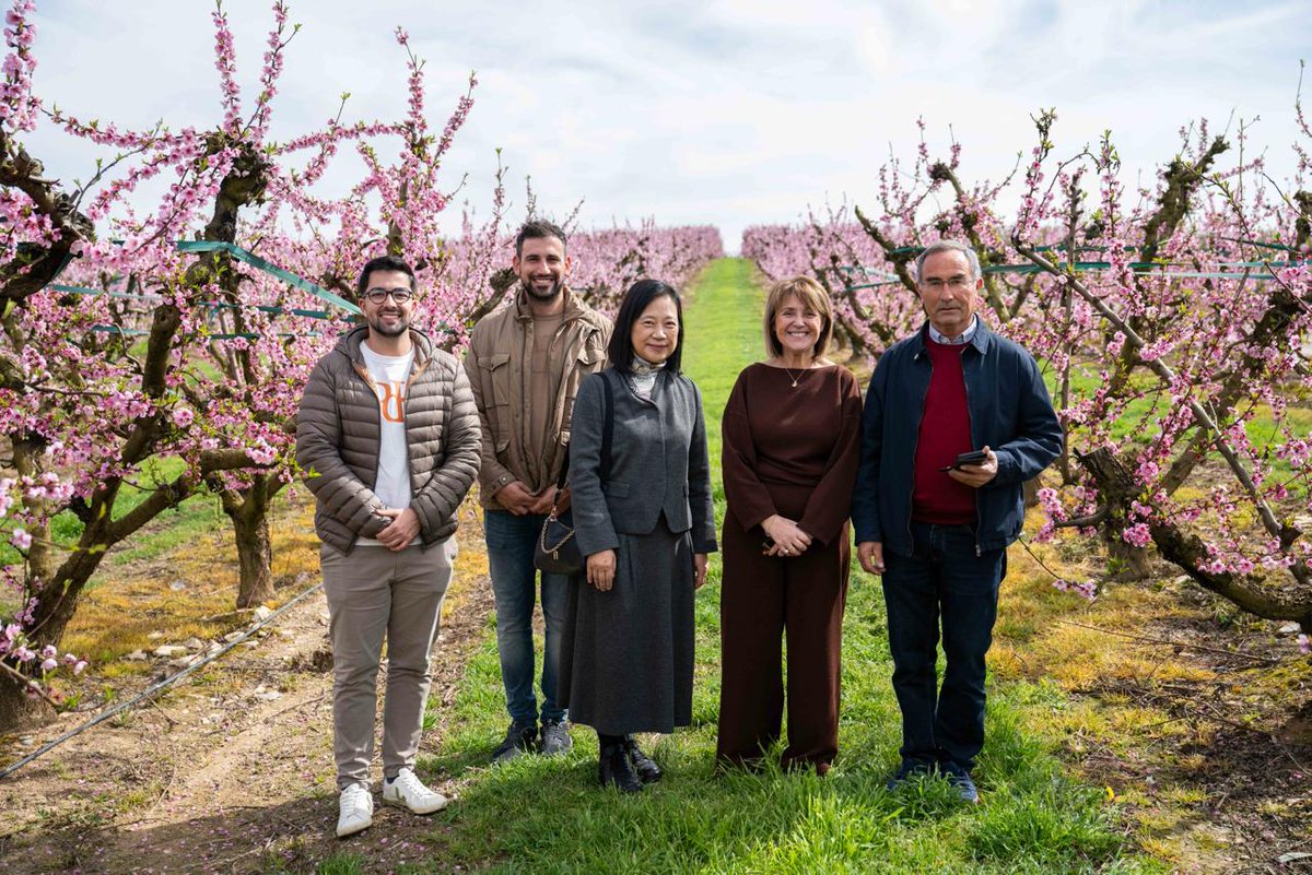 Ajuntament d'Aitona tweet media