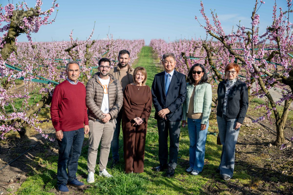 Ajuntament d'Aitona tweet media