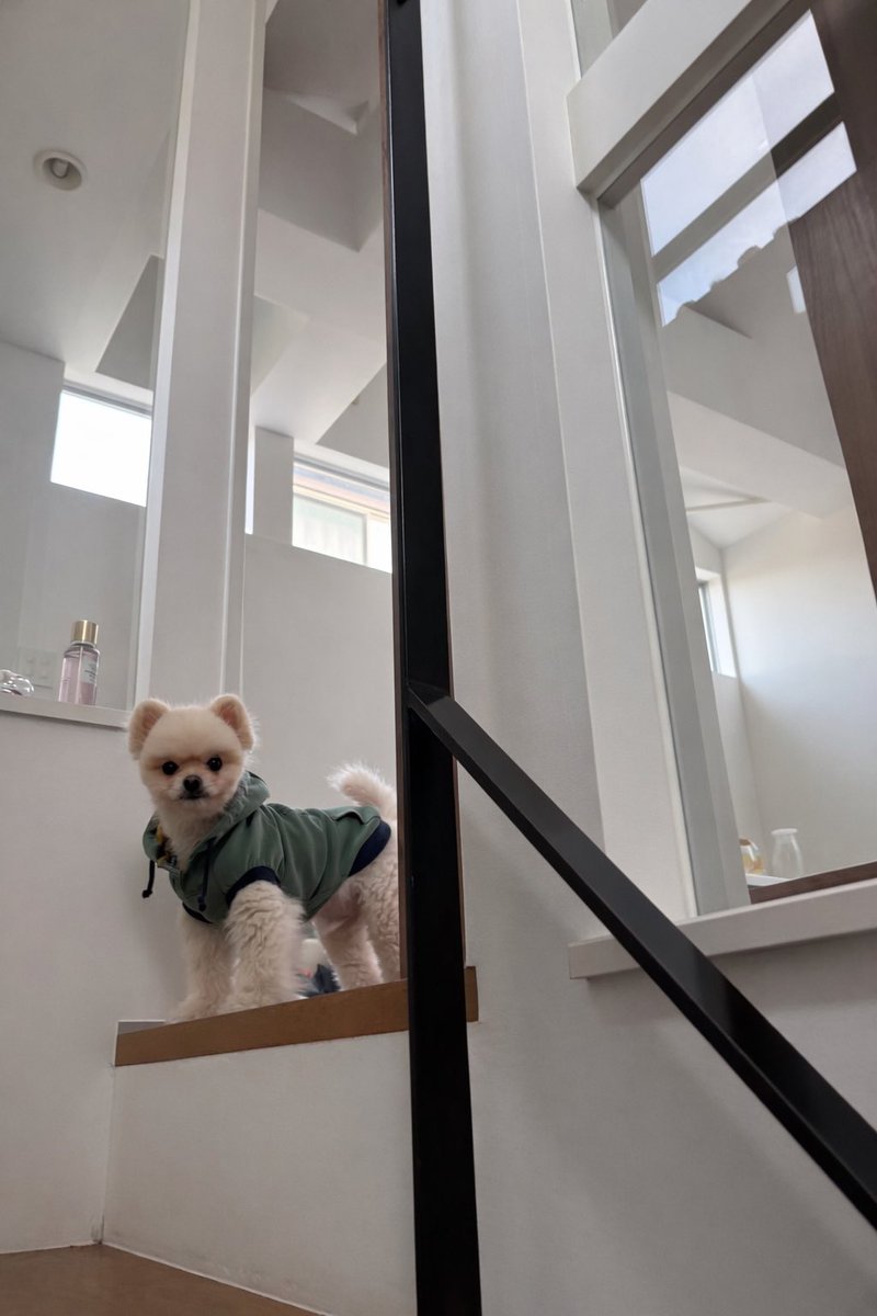 サボエル tweet media