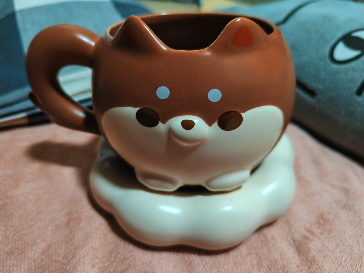 二二🧣🍩 tweet media