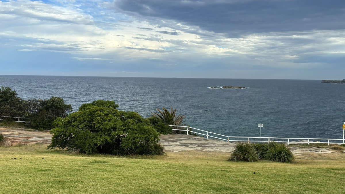 왕교자 tweet media