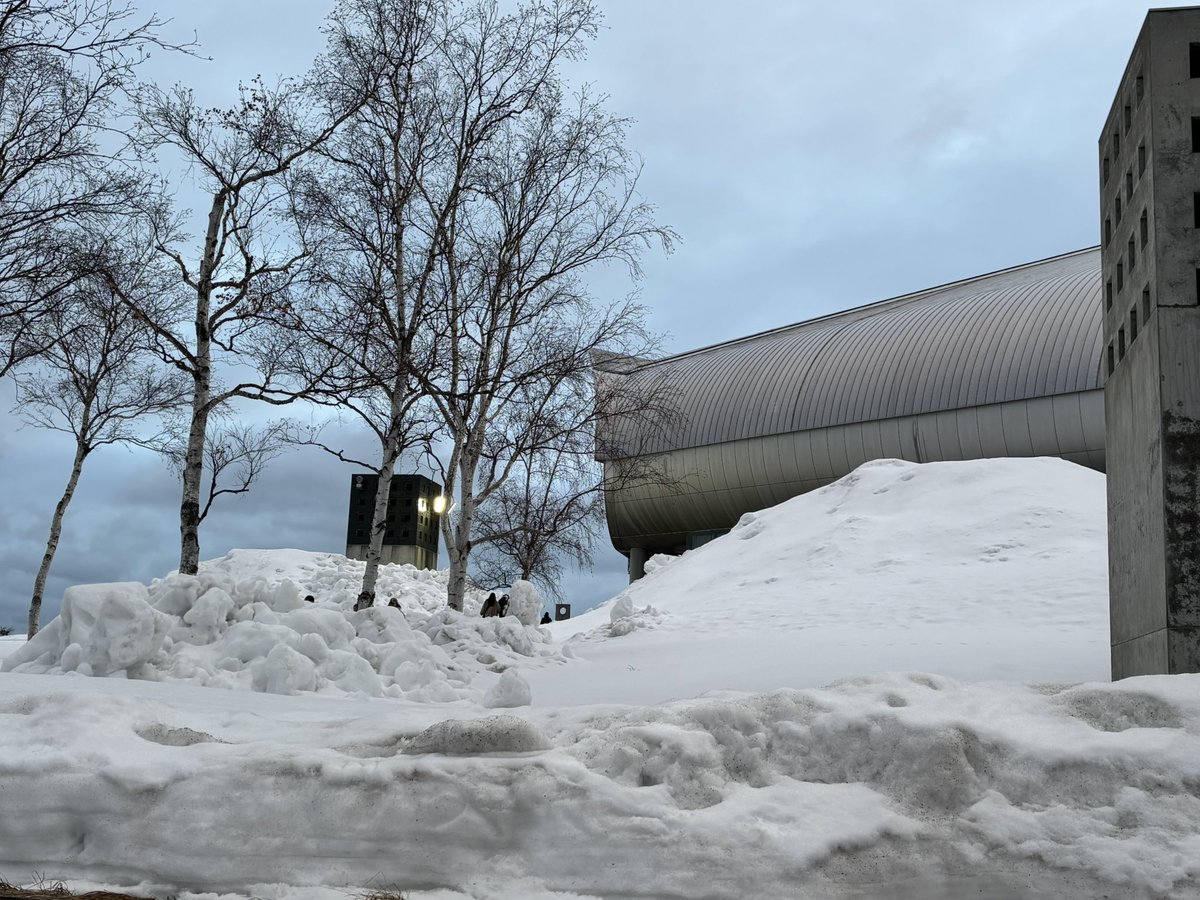 山田です。お得・激安発見機🔥 tweet media