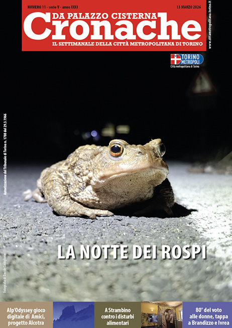 Città MetroTorino tweet media
