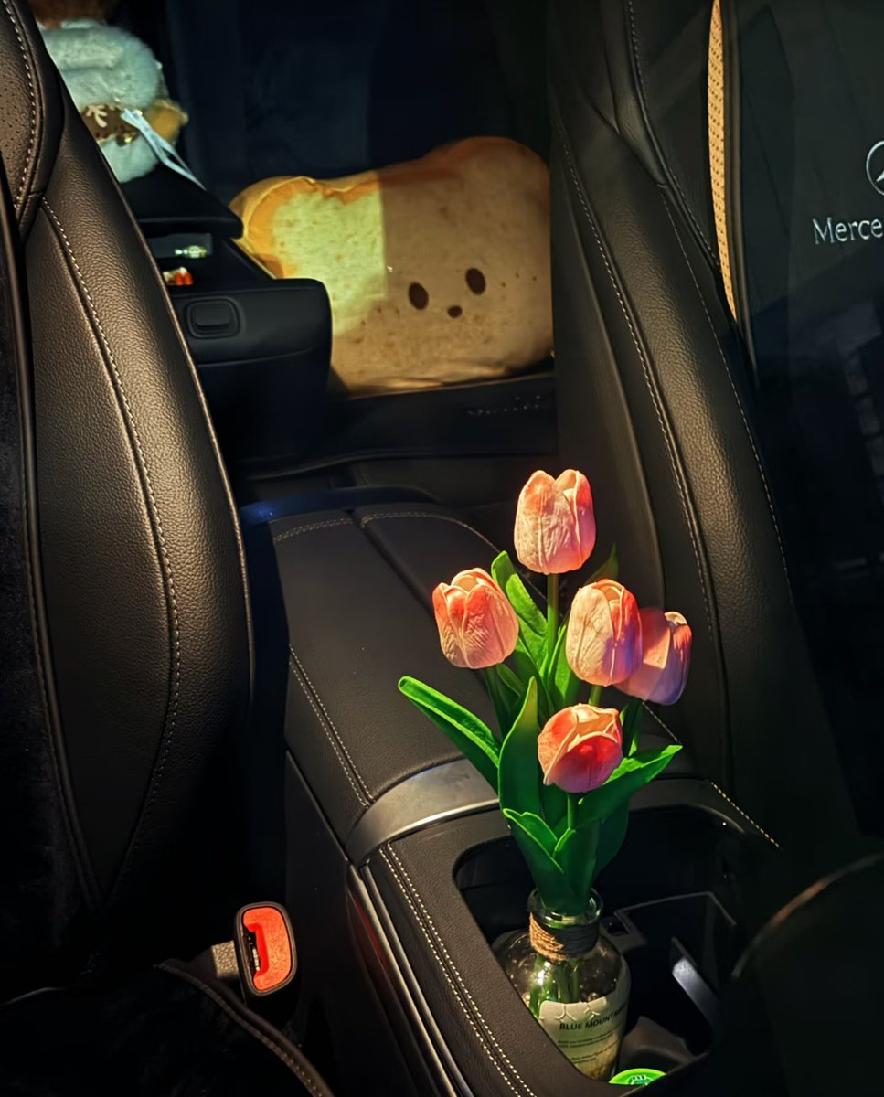 云深不知处 tweet media