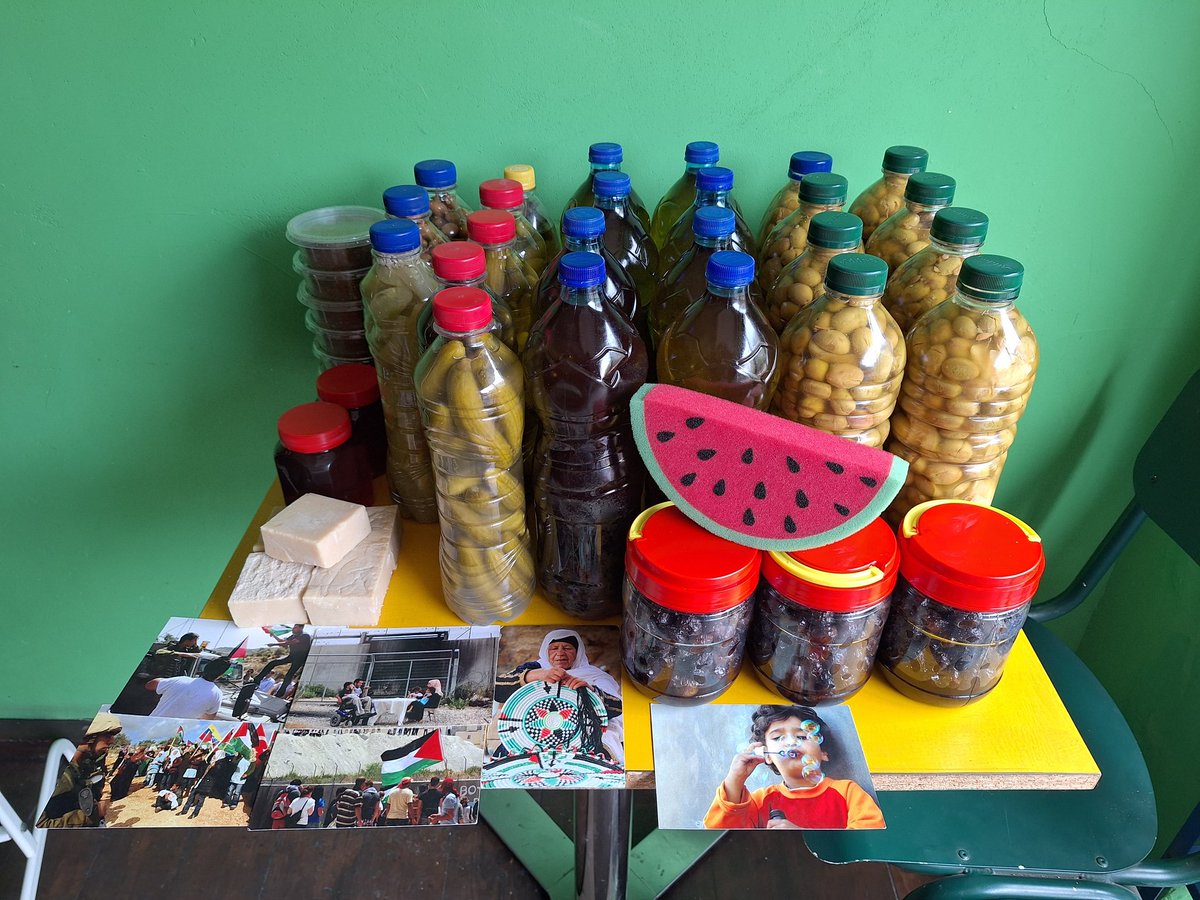 esty segal إيستي 🎗 tweet media