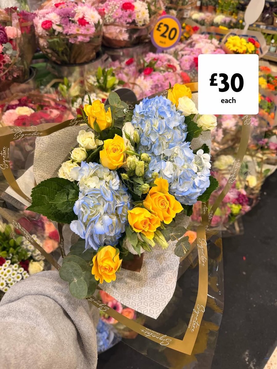 Marine Point tweet media