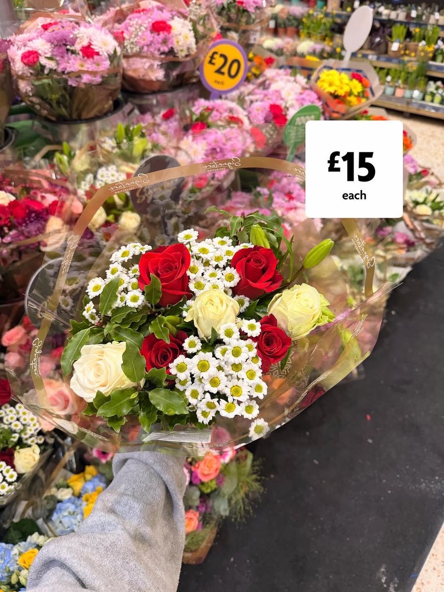 Marine Point tweet media