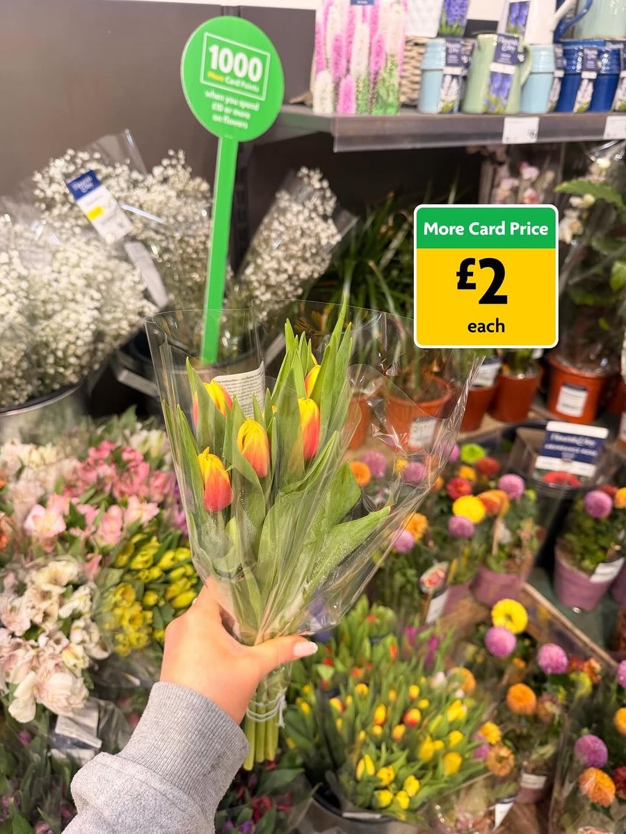 Marine Point tweet media