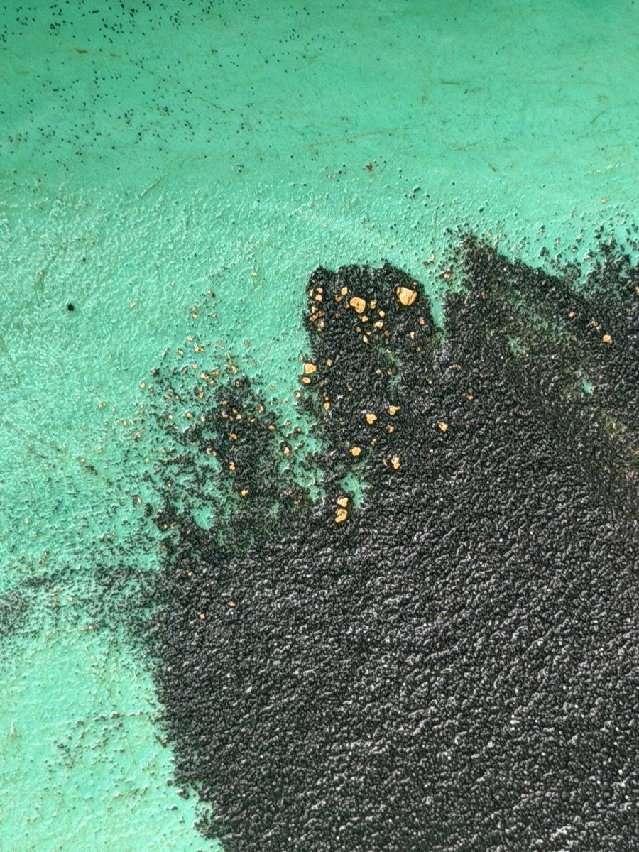 Frontier Mining Ltd tweet media