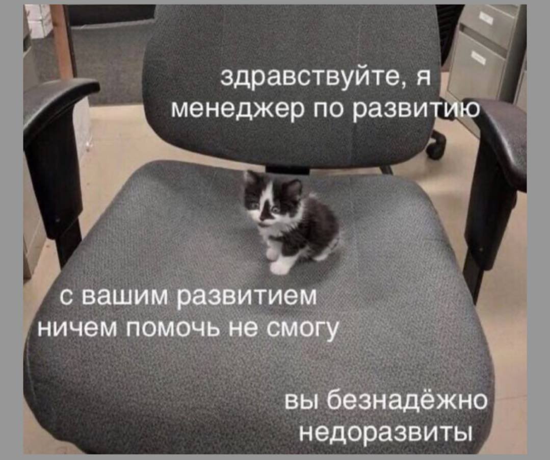 Barking News tweet media