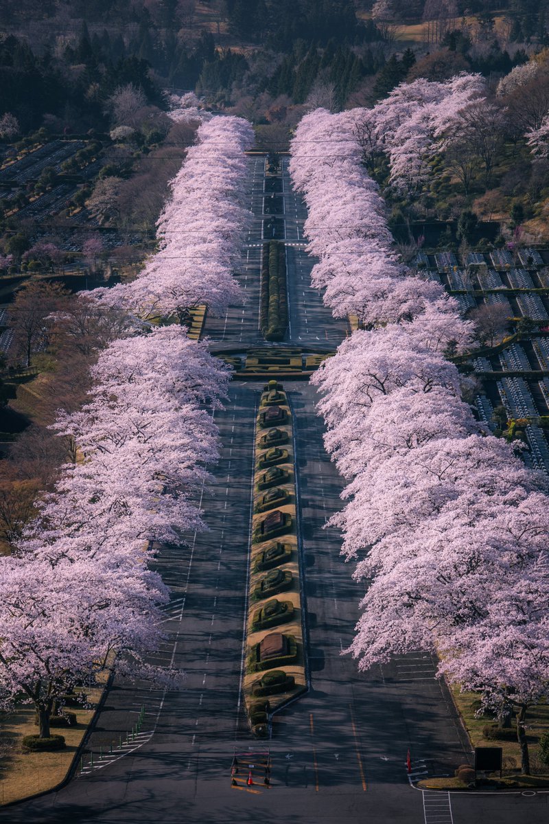 Ryogo Urata tweet media