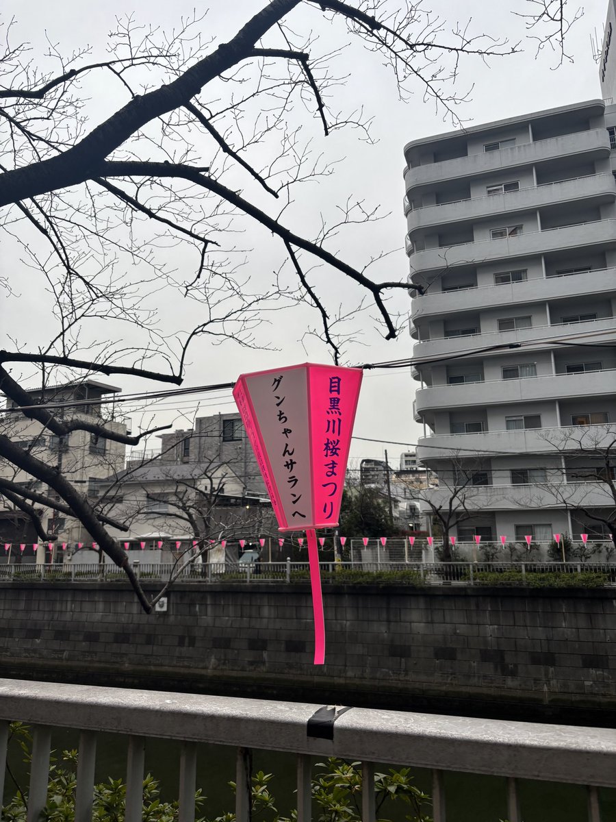 mayu8064's tweet photo. 久々にこの光景が見れて嬉しいよ♪( ´▽｀)
うなぎさんの愛が幾つも叫ばれてる
目黒川の桜祭りのぼんぼり
雅叙園側にたくさんグンソクのはあります
反対側は２個（ツリー参照）
点灯したらまた載せよう
#チャン・グンソク　#チャングンソク #グンちゃん #장근석 https://t.co/hte4Lmq9HI