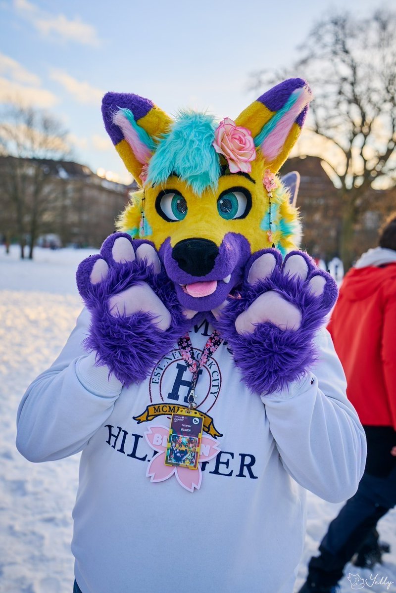 🌸Blazen🌸 🔜 CFz tweet media