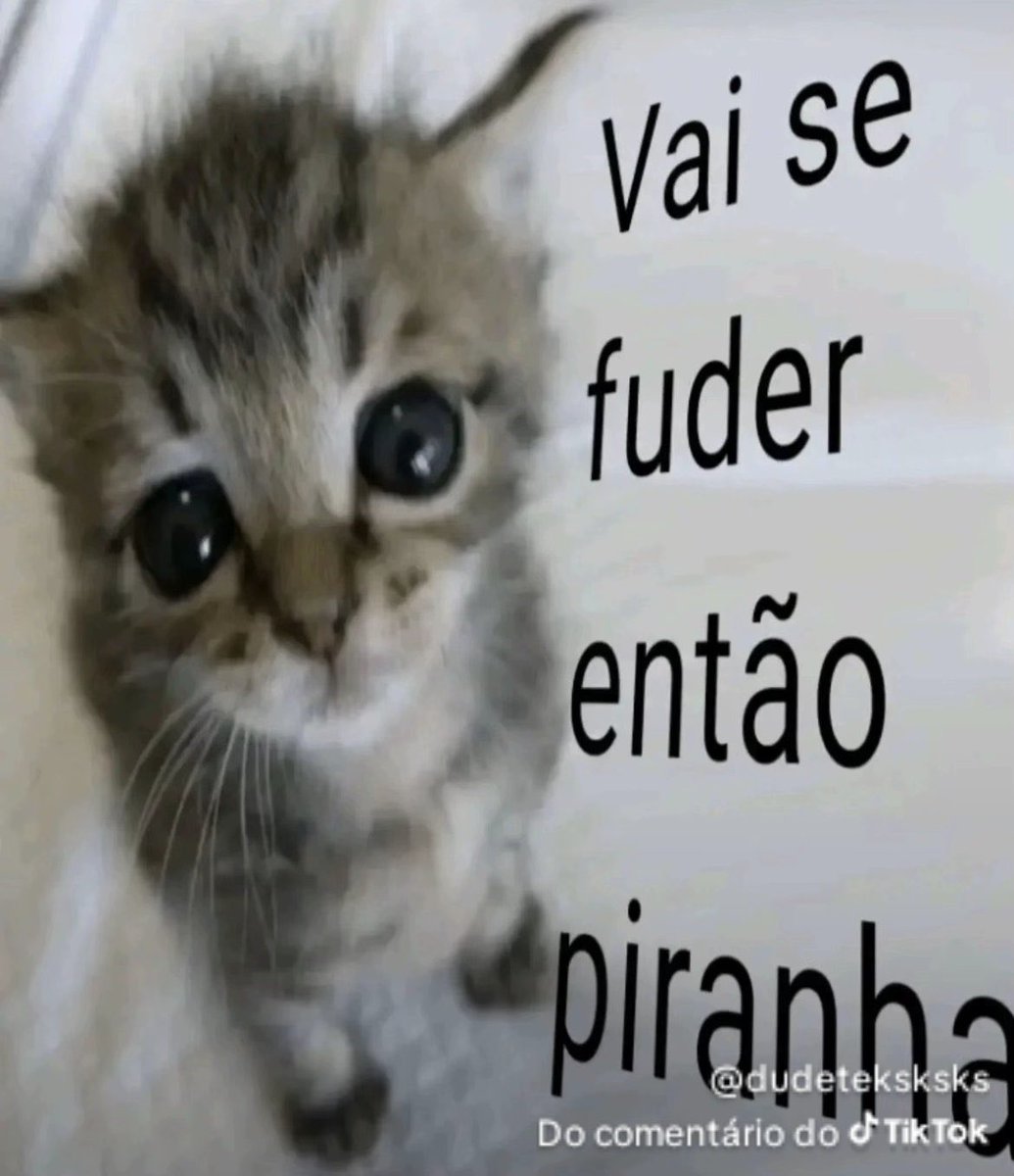 saimon_cristian's tweet photo. @Paodequeijo9185 @sannequinha Eu parei pq uma professora me falou “eu não sou sua tia 😠” https://t.co/LeyAahIjsH
