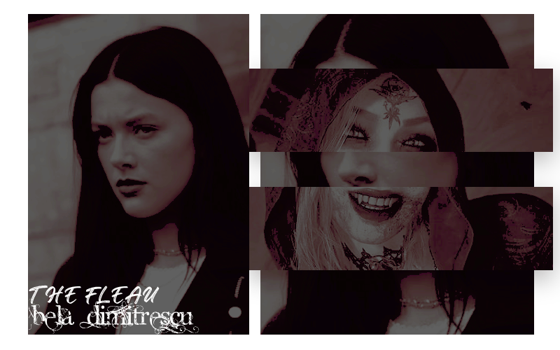  # 𝐴 𝑩𝑳𝑨𝑪𝑲 ( 𝐷𝐴𝐻𝐿𝐼𝐴 ) tweet media