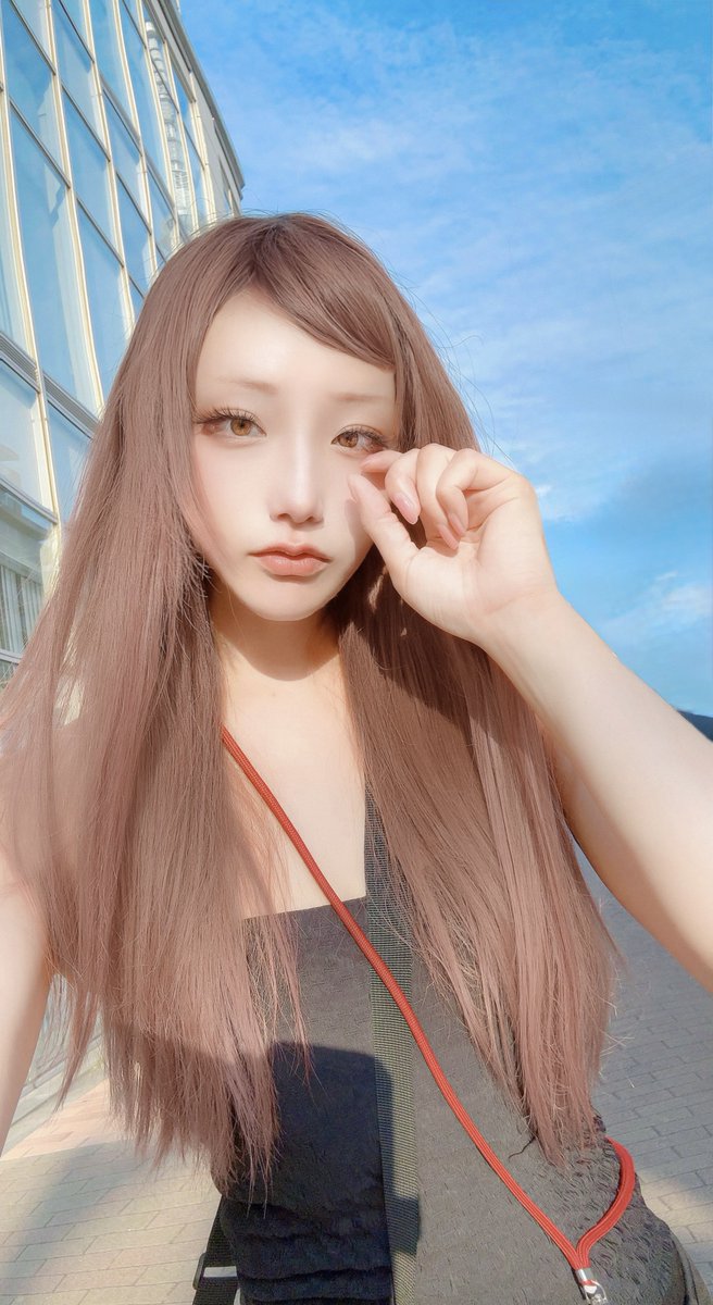 七星めろん🐰 tweet media