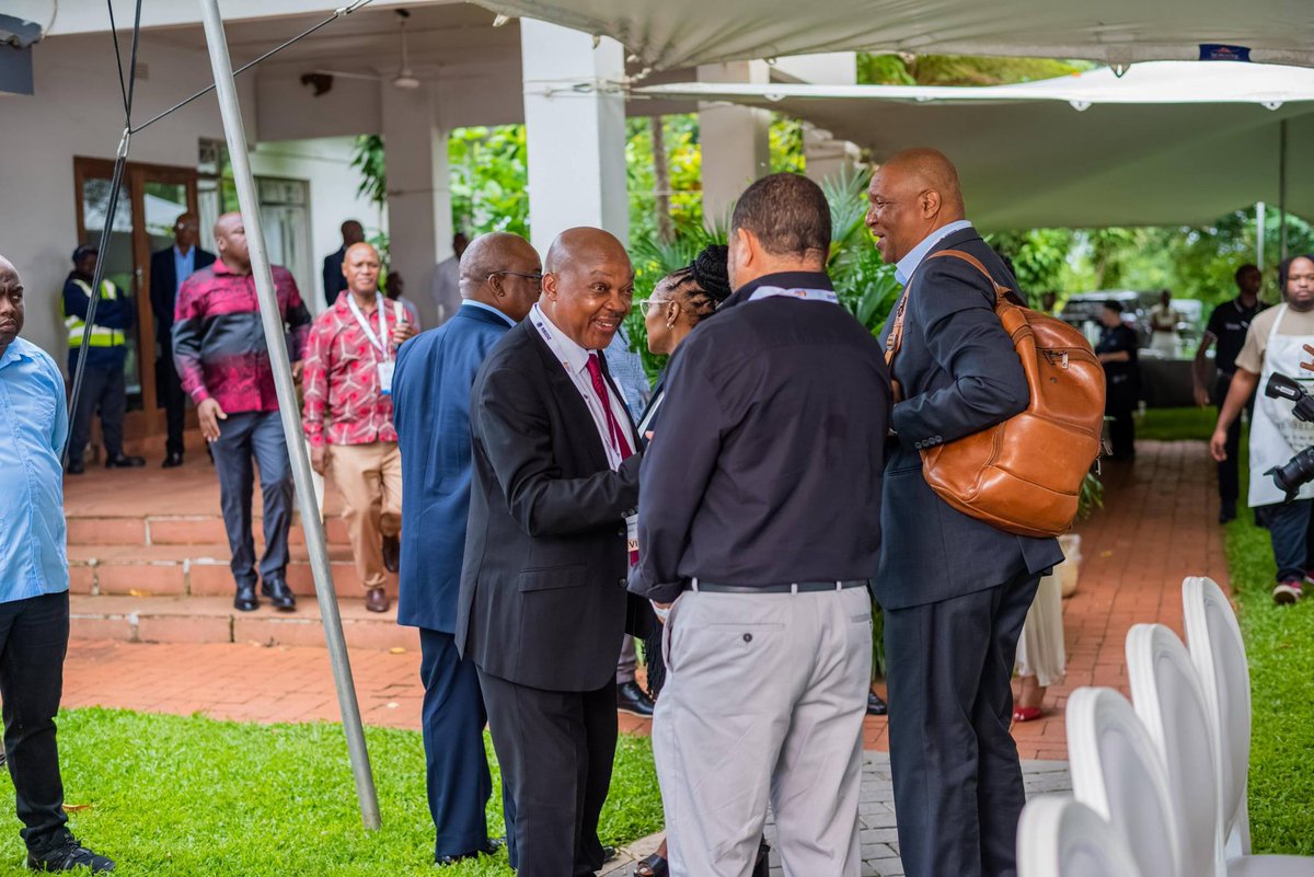 Trade & Investment KwaZulu-Natal tweet media