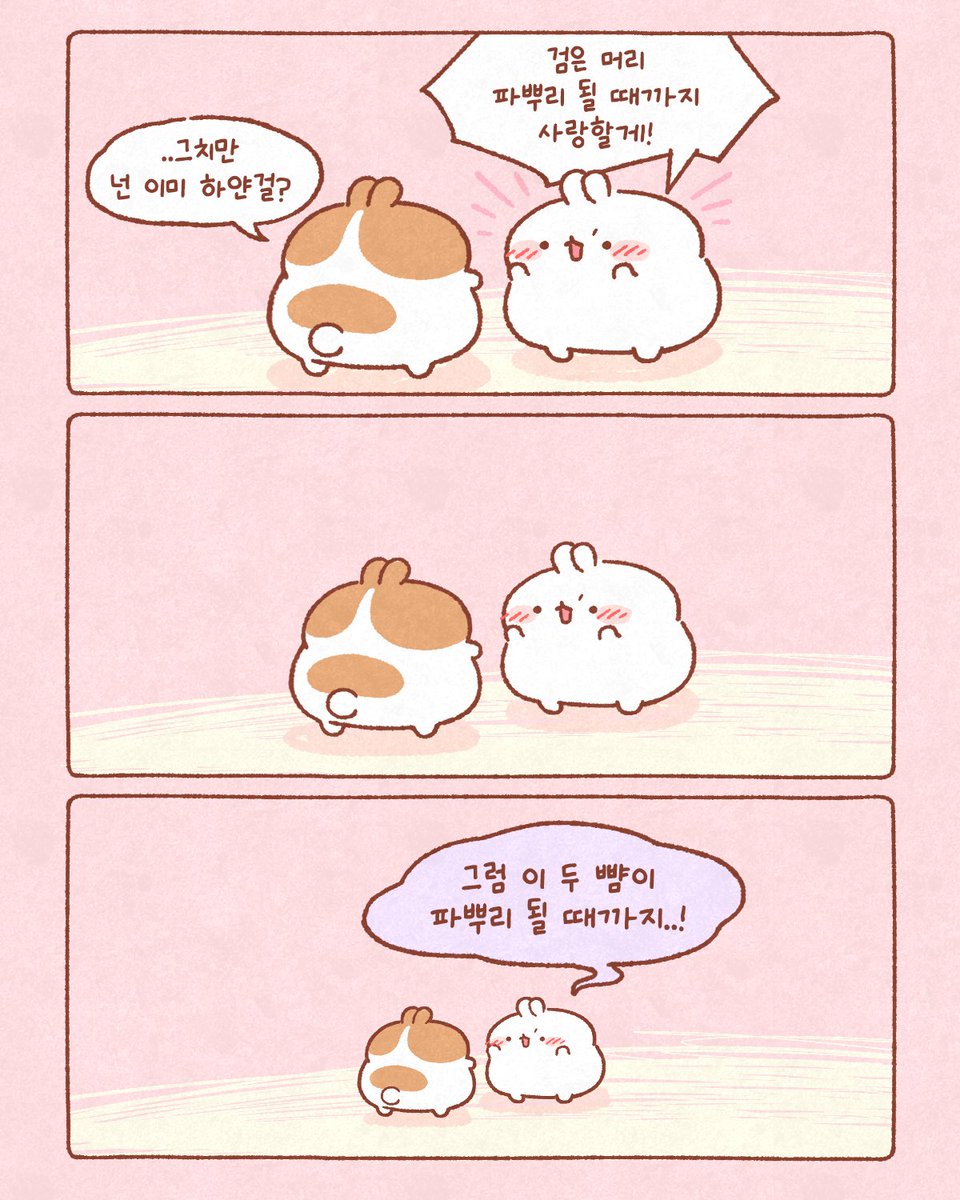 몰랑이작가🐰 tweet media