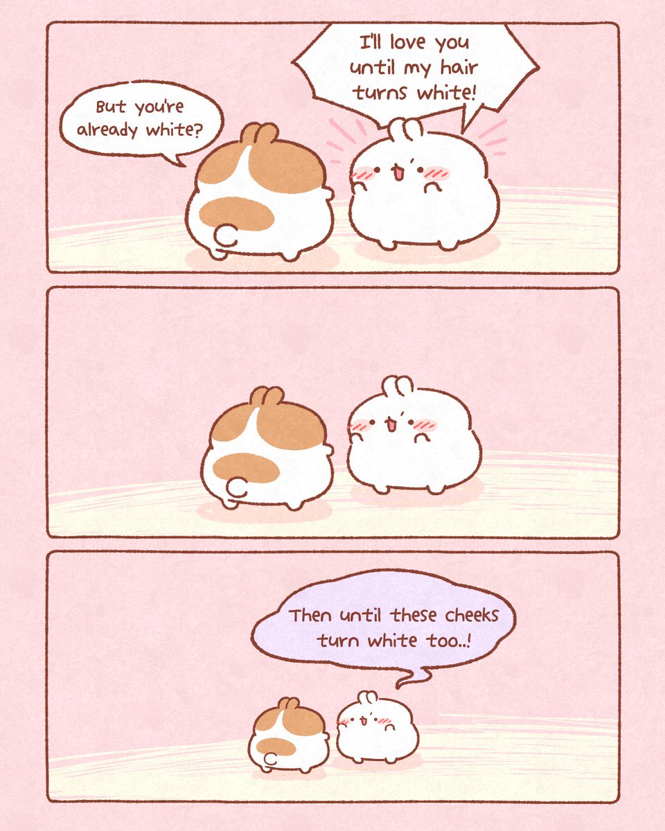 몰랑이작가🐰 tweet media