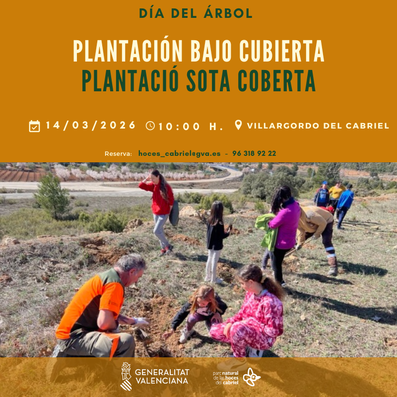 Medio Ambiente UPV tweet media