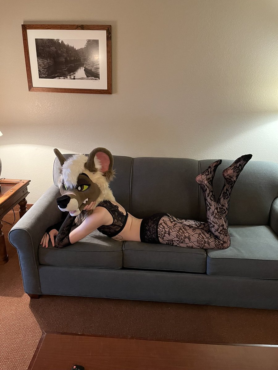 Rynolicious / Moose Tracks tweet media