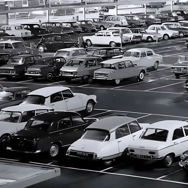 George Cochrane tweet media