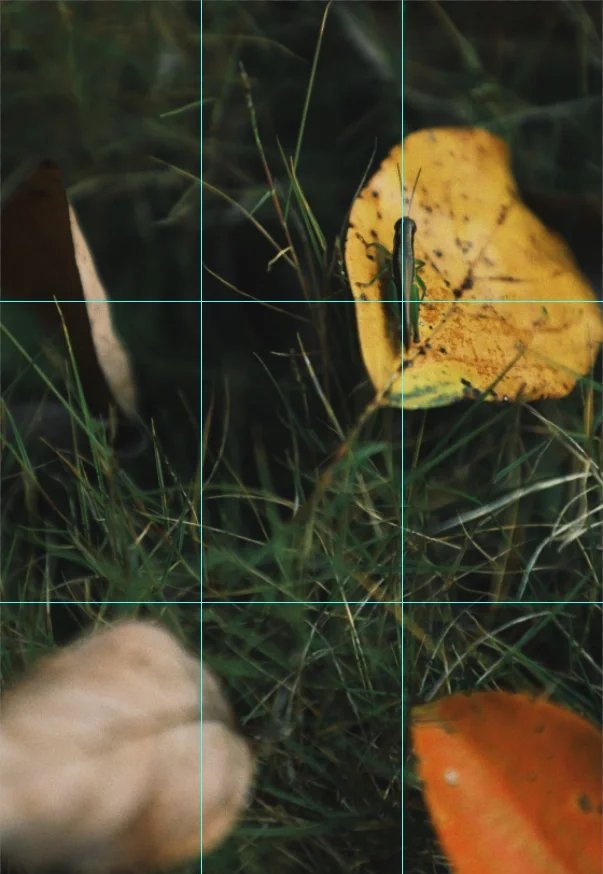 川沐｜Trnm00🐮 tweet media