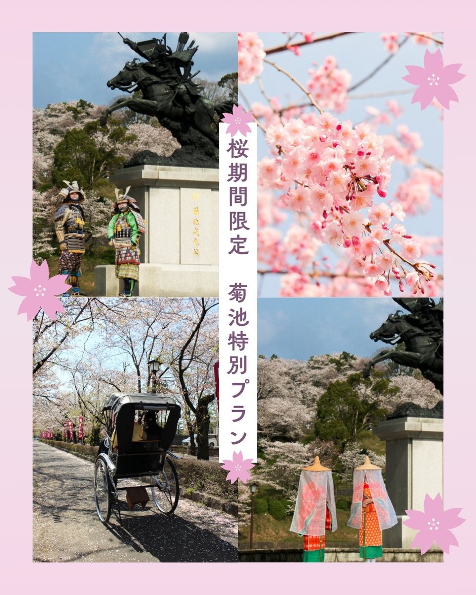 info35863272's tweet photo. 桜期間限定の特別体験プランあります♪

【桜期間限定！】2026.3.25〜4.6
🌸菊池一族の地で武士になりきる甲冑着付け体験
🌸平安時代の姫君お出かけ体験！壺装束着付け体験
🌸人力車で行く、菊池の桜絶景〜桜のトンネル・レッドカーペット〜

https://t.co/aWqLAXVnfR https://t.co/ZMb1LUOK3r