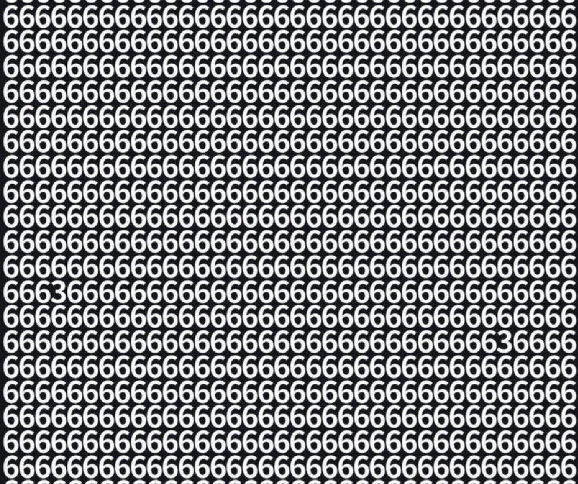 どく姉 tweet media