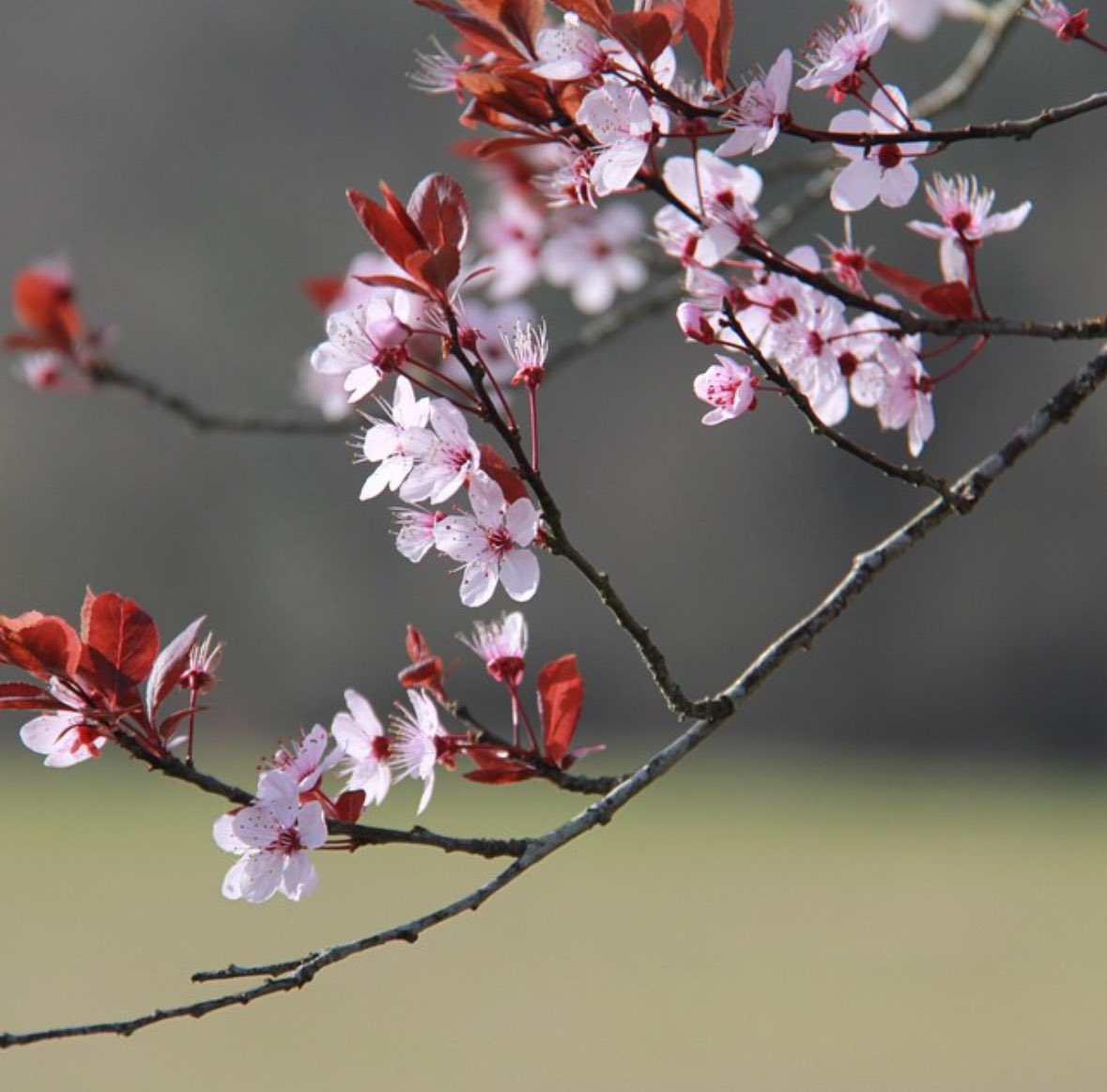 𝒯𝓇𝓊𝒹𝓎 tweet media