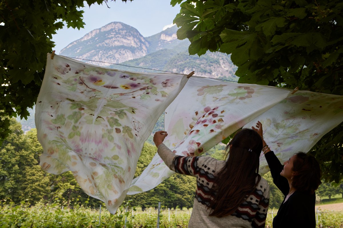 SMALL ZINE tweet media