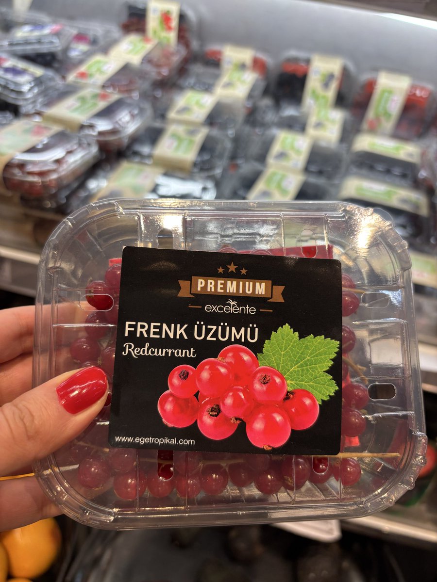 arslnserenn's tweet photo. Biraz erken oldu bulması hshsjjsks https://t.co/aDRMfrJYf1