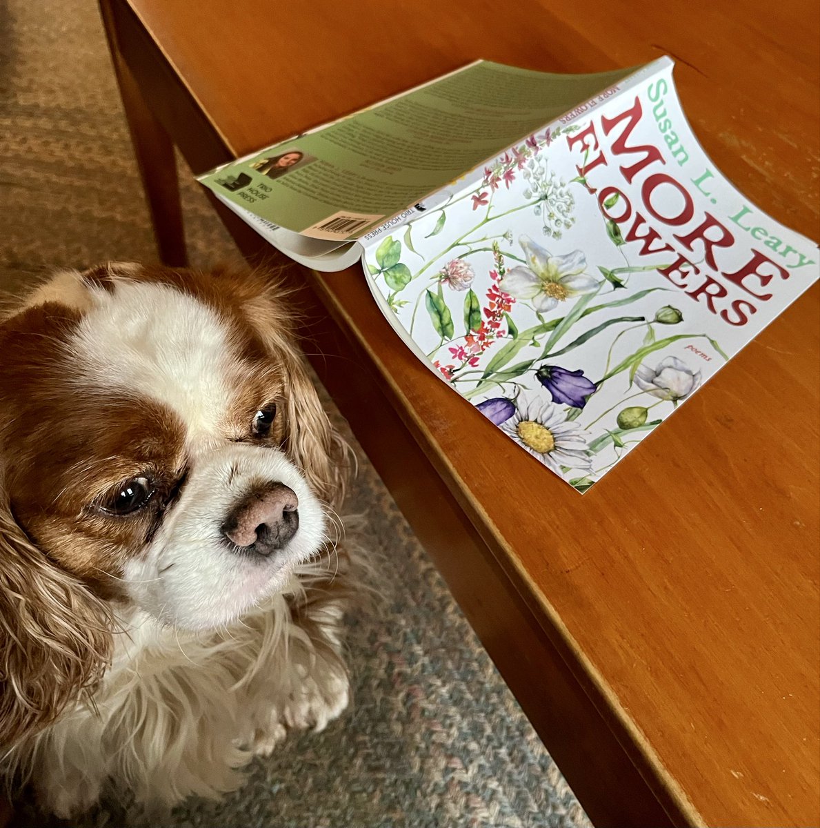 Melissa Ostrom tweet media