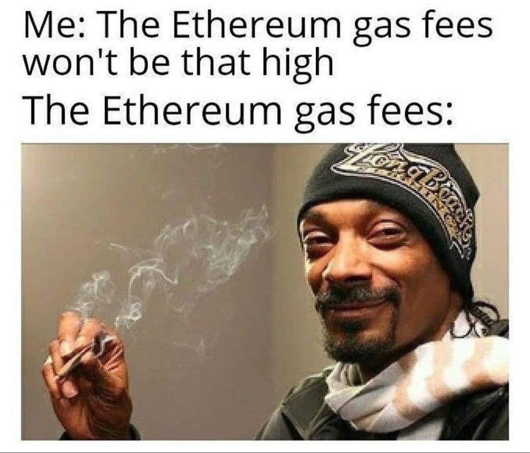 Dario De Siena - 💎🫵😹🐸 tweet media