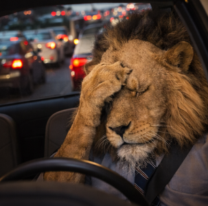 Vegas’ Dark Knight tweet media