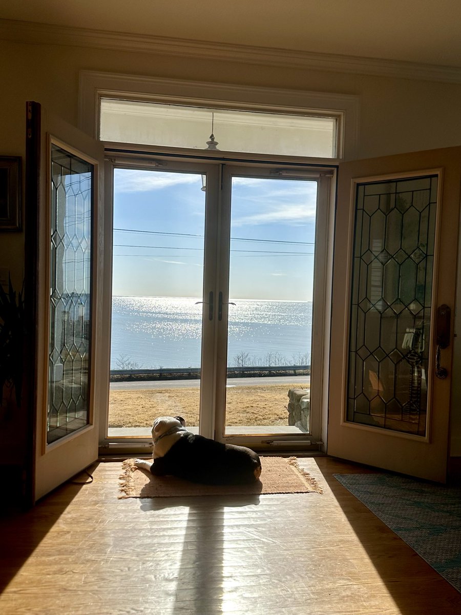 Samantha Surface tweet media