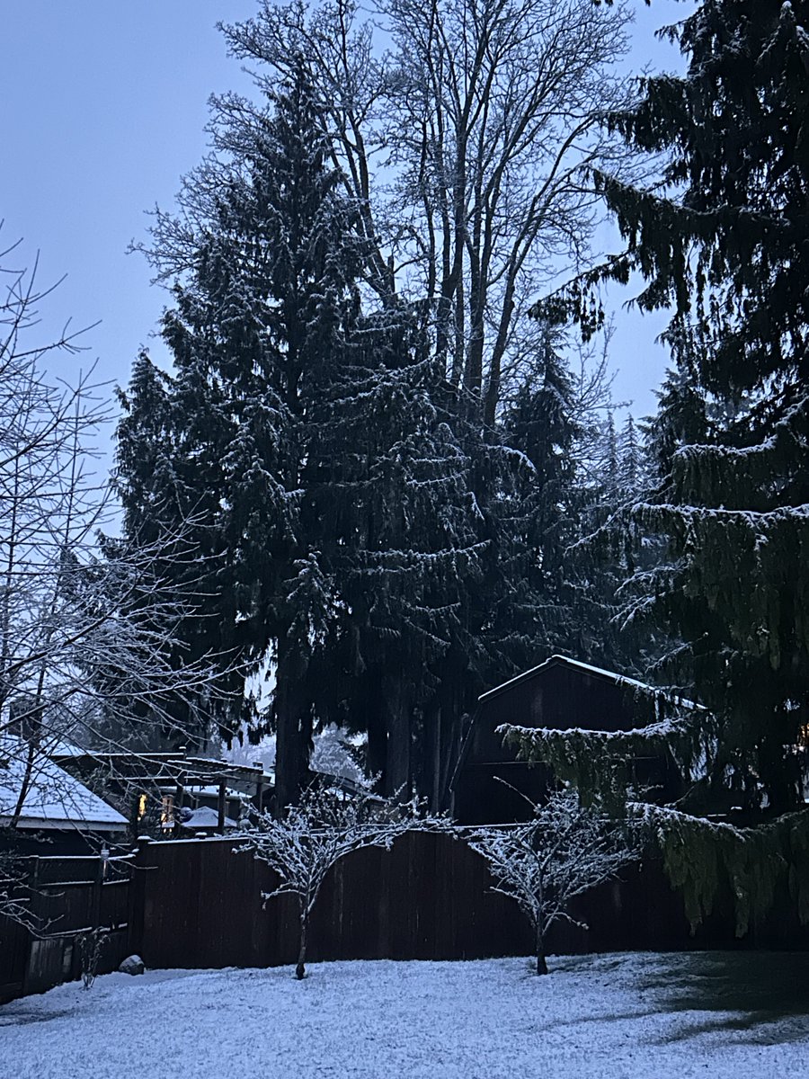 Seattle Weather Blog tweet media