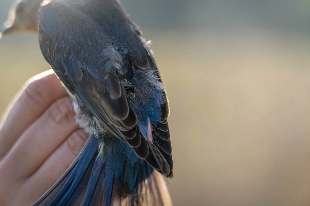 UMD Science tweet media