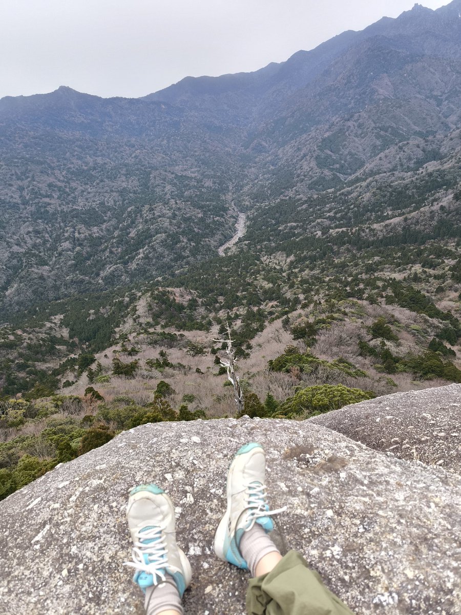 登山ハマったかも。
険しいの行ってみたくなった。