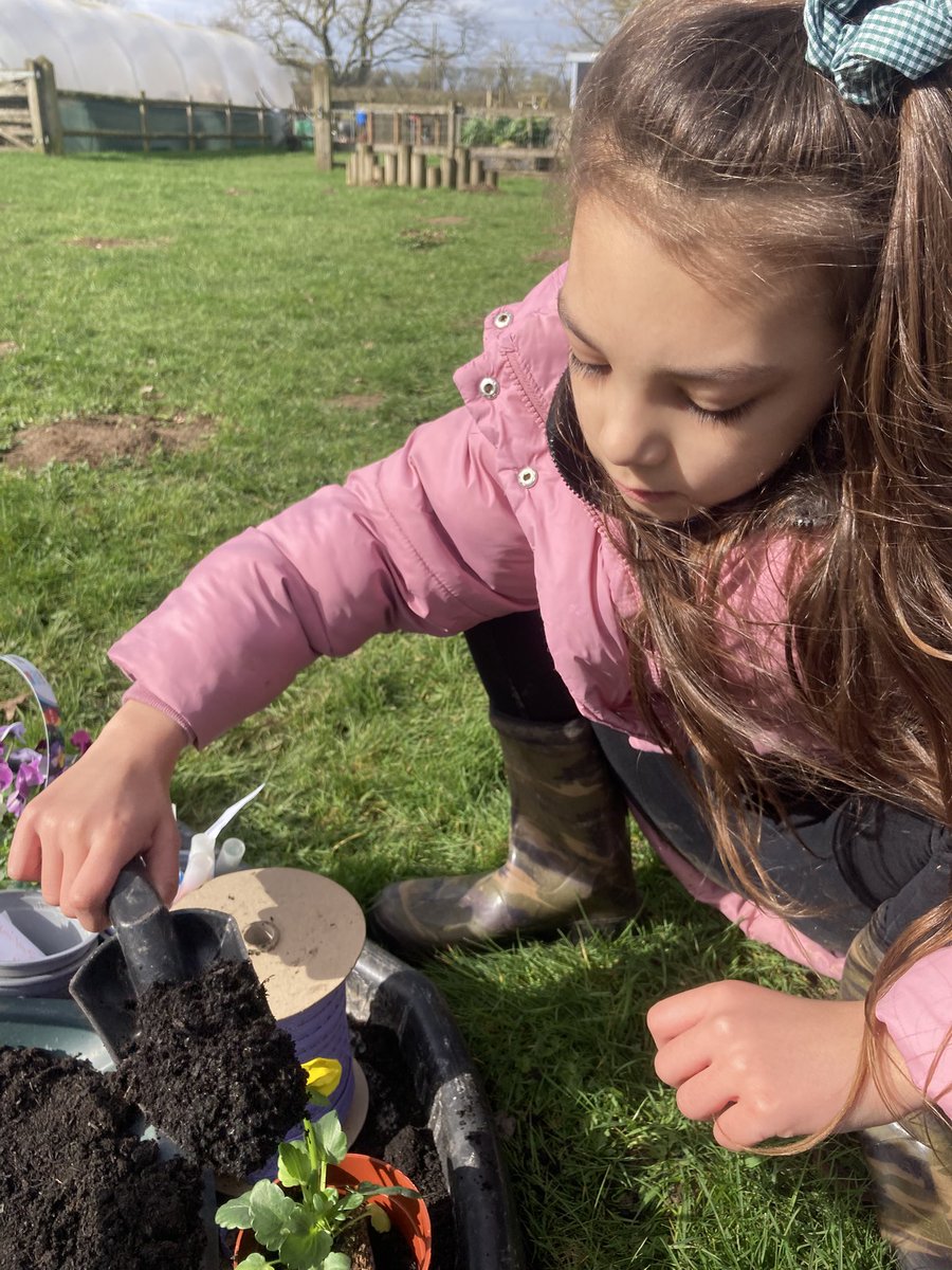 Meadow View Farm Sch tweet media