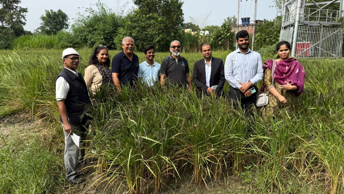 Intellecap tweet media