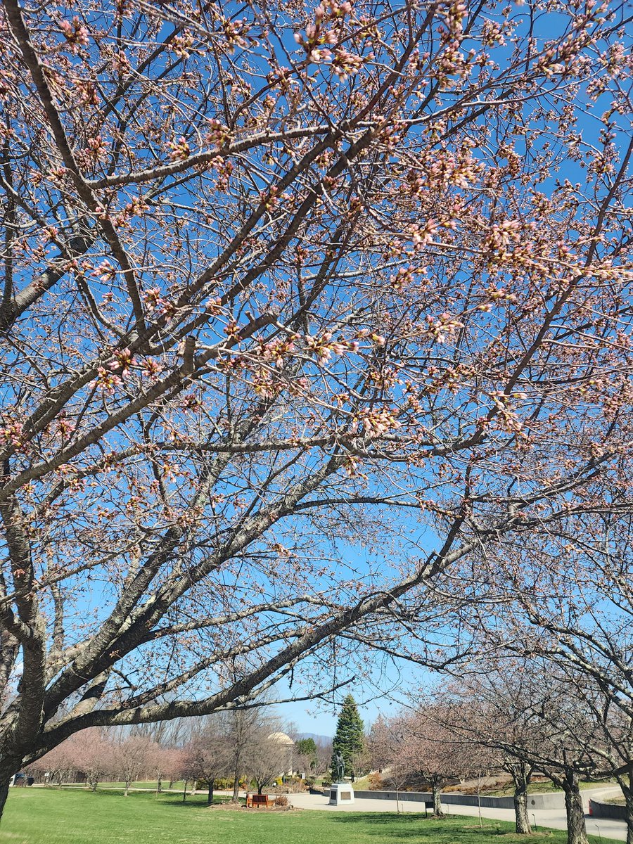 National D-Day Memorial tweet media