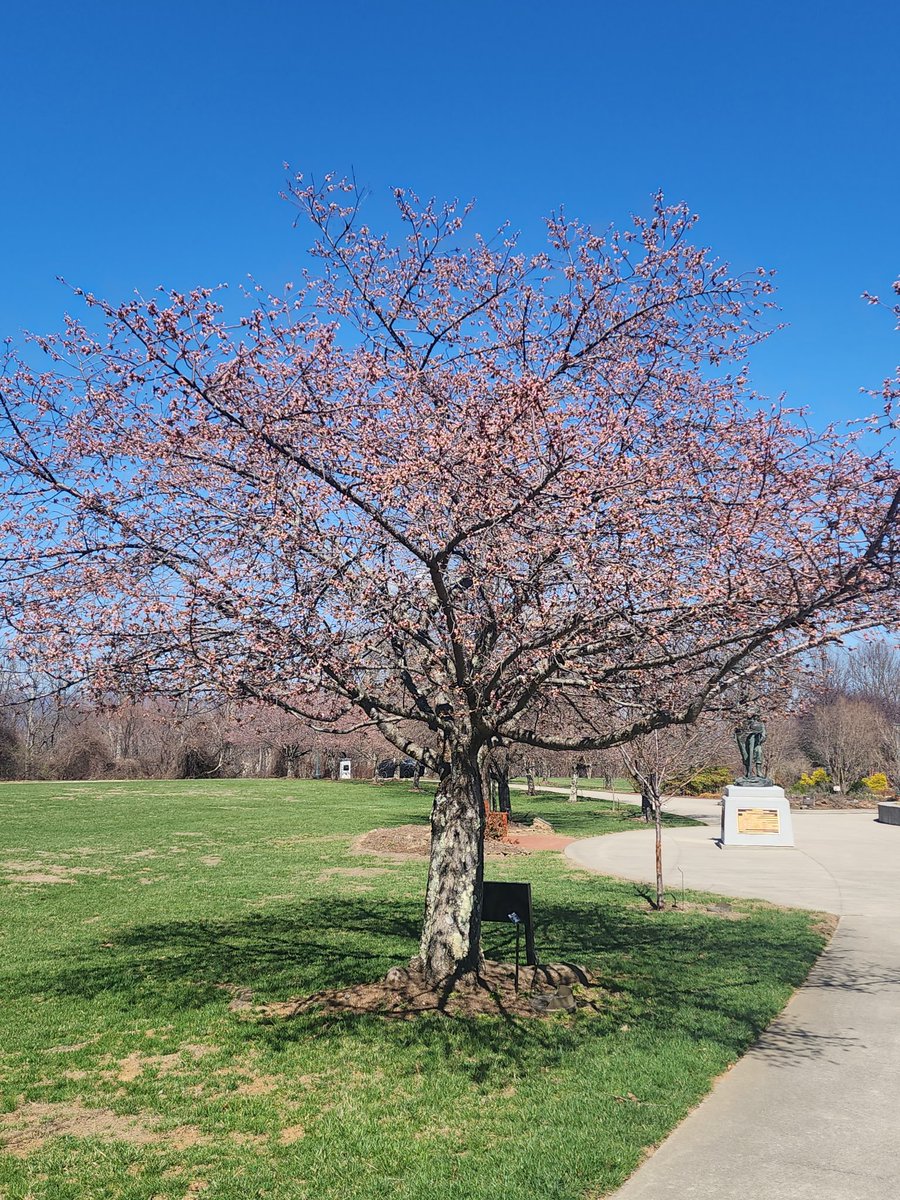 National D-Day Memorial tweet media