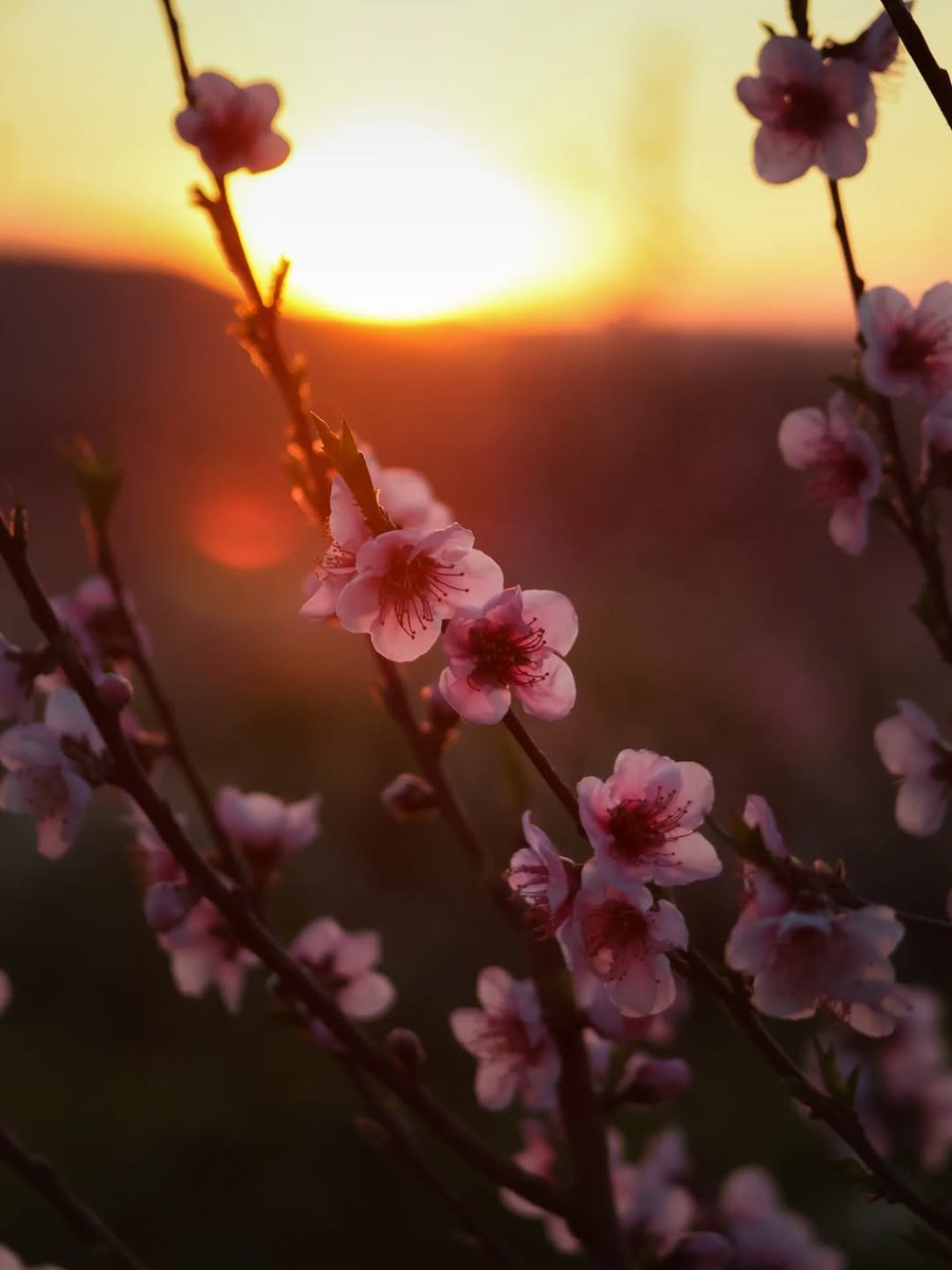 Segrià Turisme tweet media