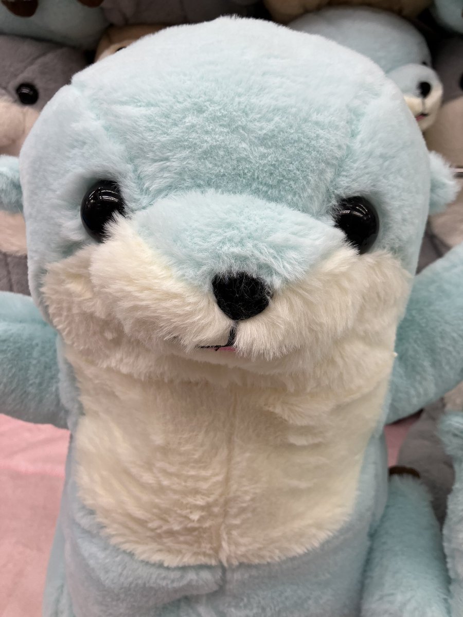 新景品入荷情報‼️ 「くったりカワウソたっち超ウルトラBIG2」入荷
