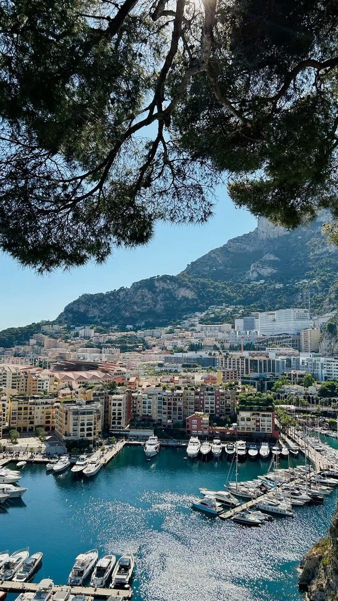 UremO 👑 tweet media