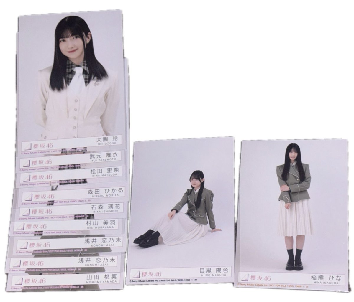 ぽぽこ tweet media